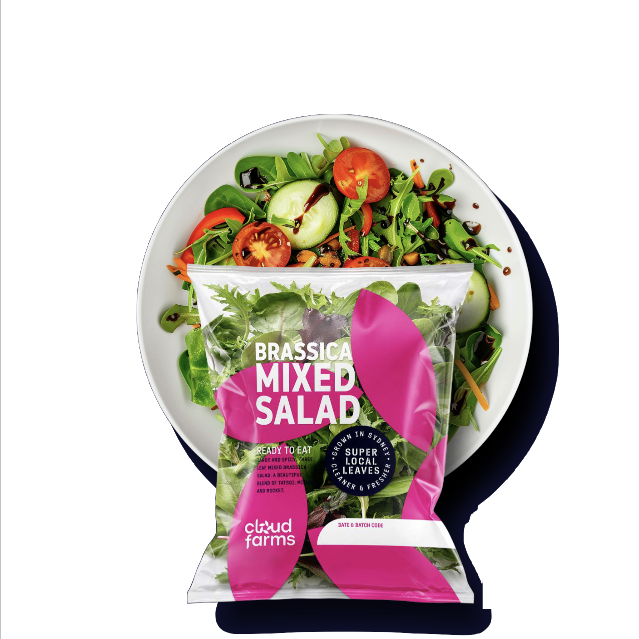 Cloud Farms pesticide-free brassica mixed salad — grown hydroponically in Sydney